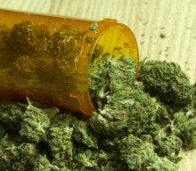 Badanie: Używanie konopi sprzyja poprawie stanu pacjentów z neuropatią obwodową wywołaną chemioterapią