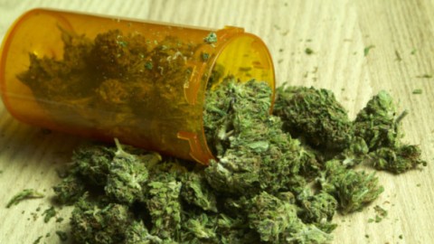 Badanie: Używanie konopi sprzyja poprawie stanu pacjentów z neuropatią obwodową wywołaną chemioterapią