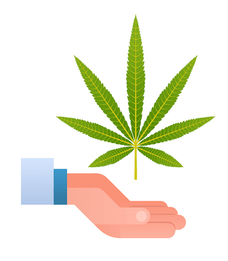 medyczna marihuana