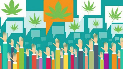 Dlaczego legalizacja marihuany jest lepsza od depenalizacji czy dekryminalizacji?