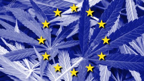 Europejscy politycy wzywają UE do reformy przepisów dotyczących marihuany