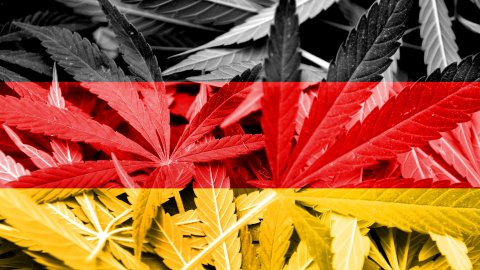 Jakie regulacje mają obowiązywać po  legalizacji w Niemczech?