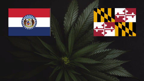 Maryland i Missouri legalizują marihuanę