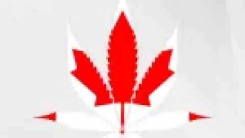 Legalizacja marihuany w Kanadzie okazała się sukcesem!