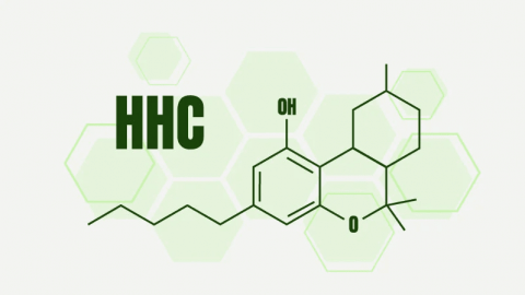 HHC, bliski czy bliźniaczy brat THC? Poznaj Heksahydrokannabinol