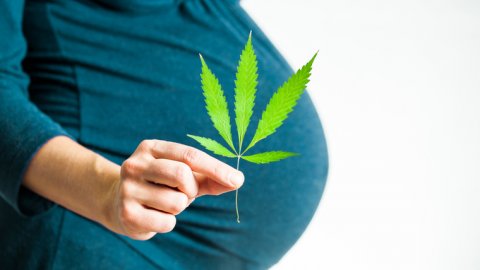 Używanie marihuany przez matkę w ciąży i wyniki dziecka podczas rozwoju