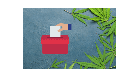 legalizacja marihuany wybory 2023 wolne konopie