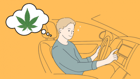 Badania: Spożywanie medycznej marihuany zgodnie z zaleceniami ma znikomy wpływ na wydajność jazdy