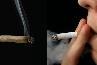 papierosy vs marihuana szkodliwosc