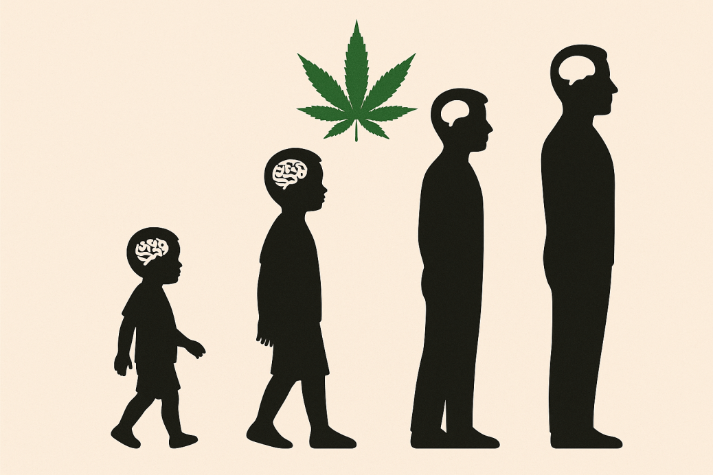 mózg nastolatka marihuana konopie