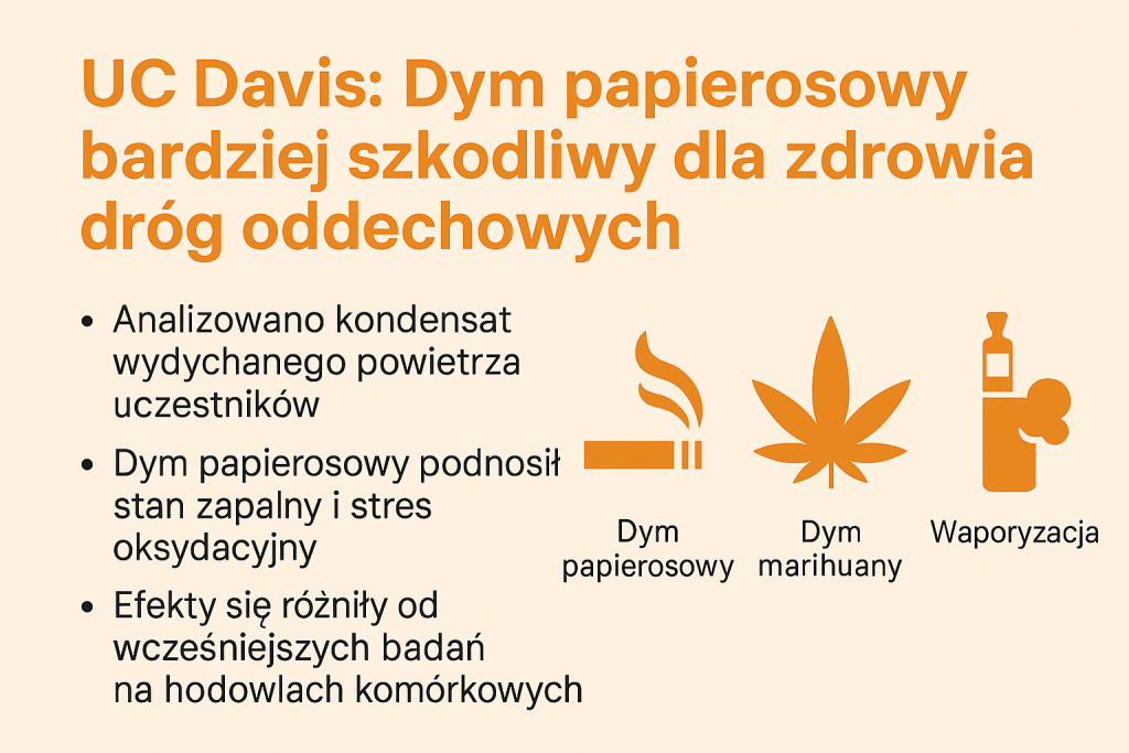 dym papierosowy i marihuanowy badania na ludziach
