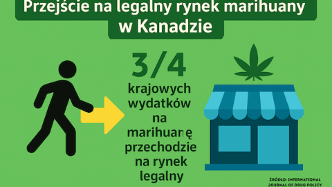 Większość kanadyjskich konsumentów marihuany wybrała legalny rynek – nowe dane pokazują skalę zmiany po legalizacji