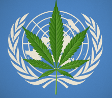 Historyczna zmiana w globalnej polityce narkotykowej