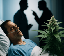 Dlaczego ograniczenie marihuany do listy chorób to katastrofa dla pacjentów – historia Adriana