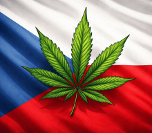 Czechy luzują prawo konopne. Duży krok naprzód, ale z gwiazdką