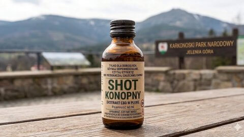 Konopne shoty. Gdy absurdalne prawo spotyka marketing